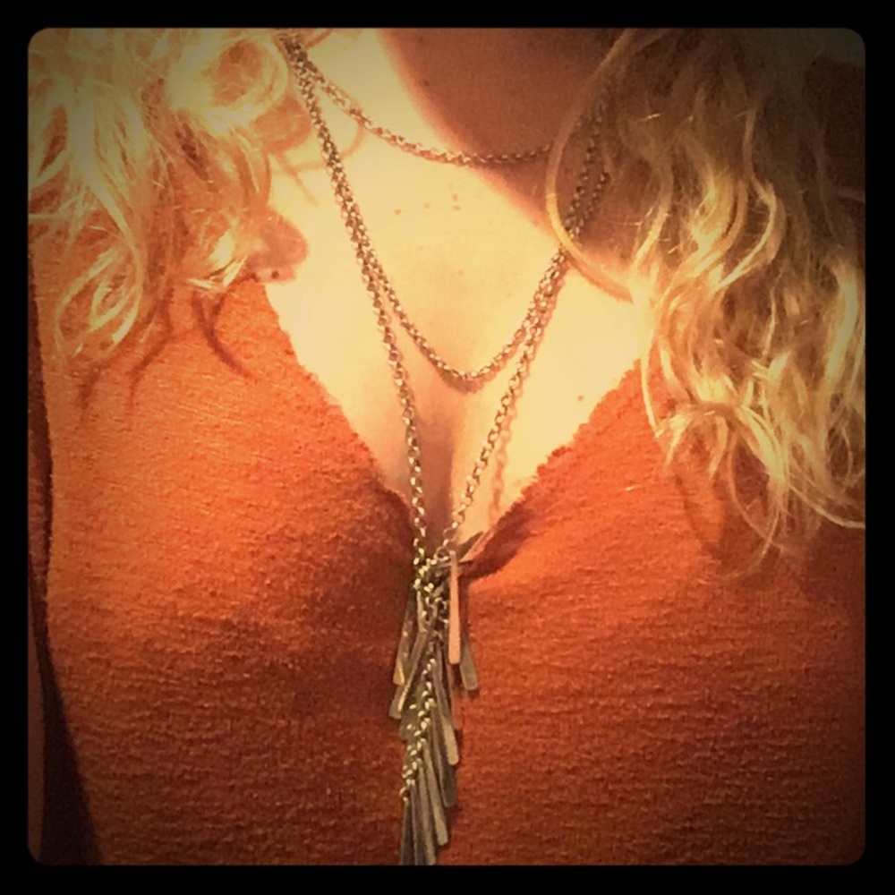 Silver layered necklace